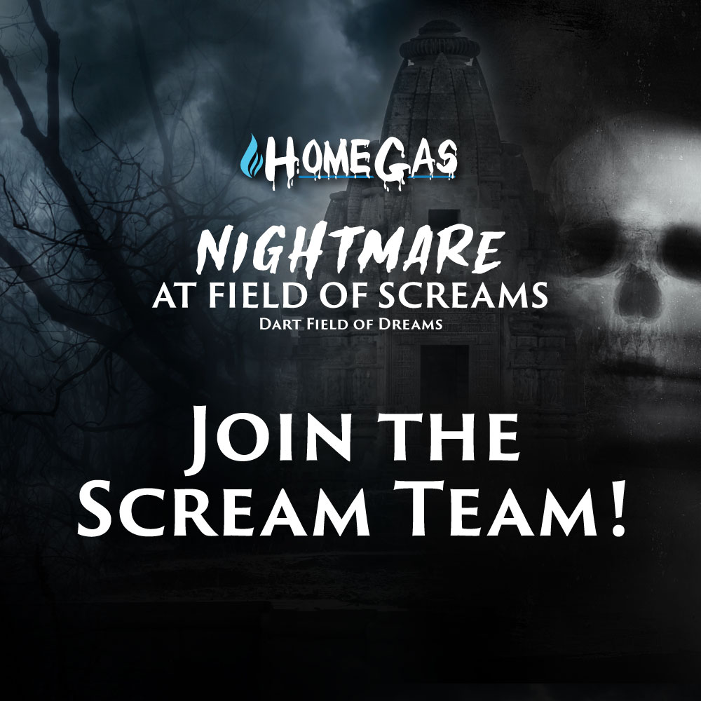 The Establishment of company